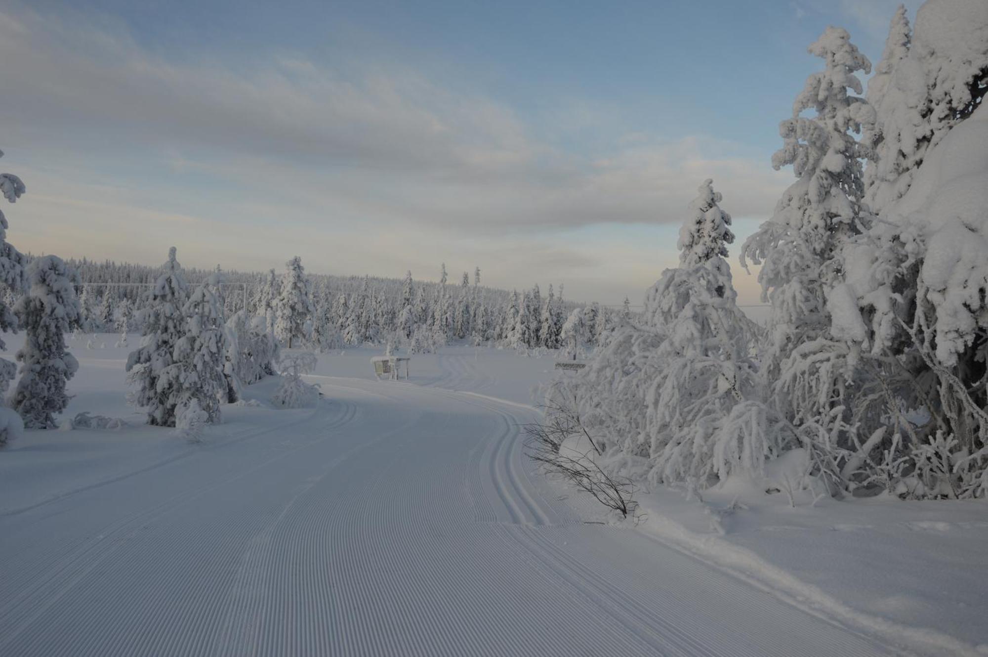 14 - Fulufjellets Nasjonalparker - Natur-, Dyre- Og Fugleopplevelser Trysil Exterior foto