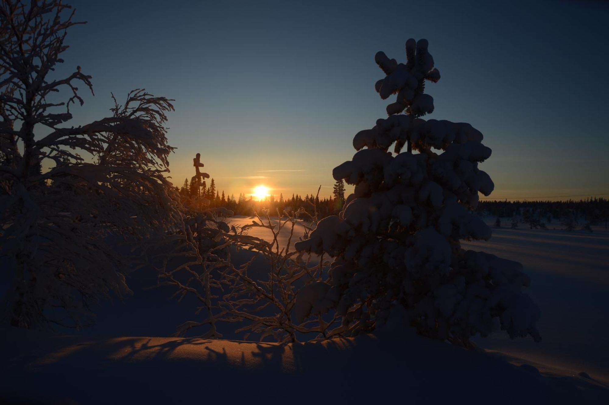 14 - Fulufjellets Nasjonalparker - Natur-, Dyre- Og Fugleopplevelser Trysil Exterior foto