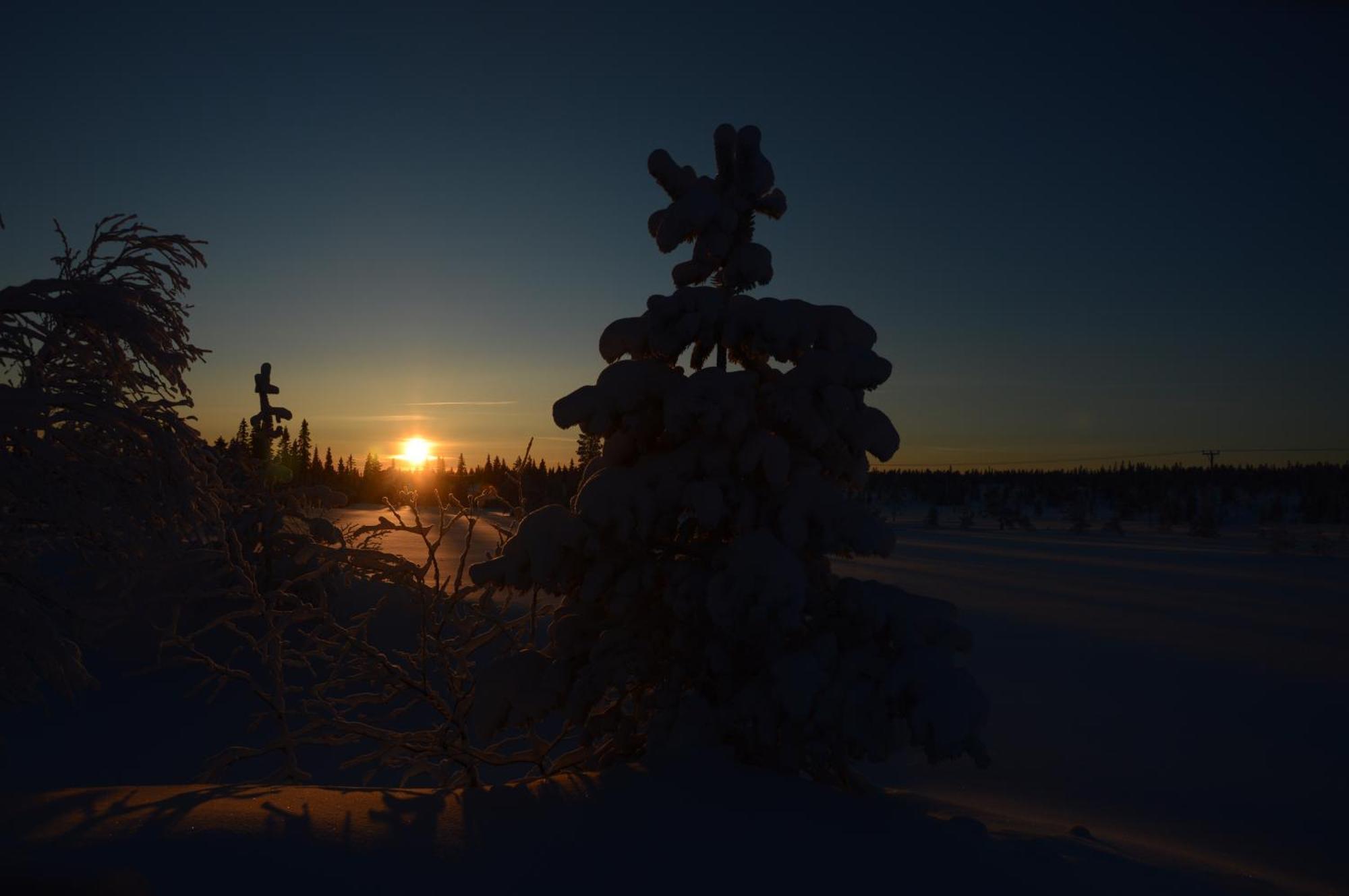 14 - Fulufjellets Nasjonalparker - Natur-, Dyre- Og Fugleopplevelser Trysil Exterior foto