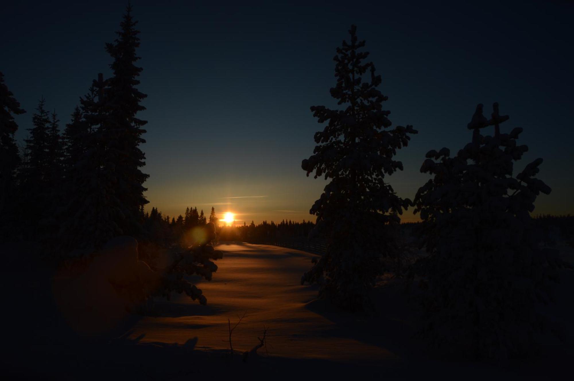 14 - Fulufjellets Nasjonalparker - Natur-, Dyre- Og Fugleopplevelser Trysil Exterior foto