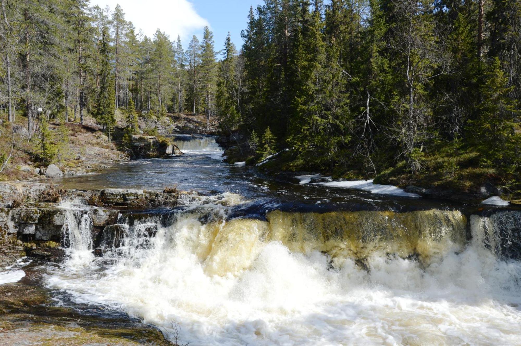 14 - Fulufjellets Nasjonalparker - Natur-, Dyre- Og Fugleopplevelser Trysil Exterior foto